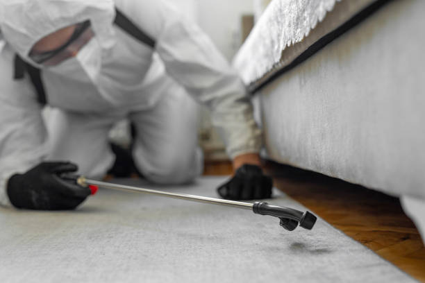 Professional Termite Control technician working in Bridgeport, IL