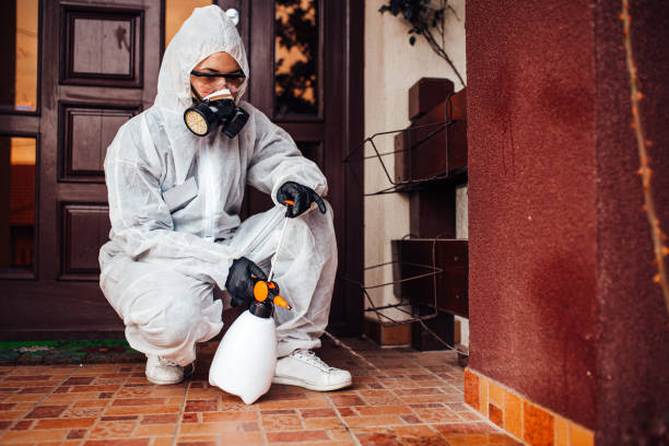 Reliable Termite Control contractor in Bridgeport, IL by Nex Pest Control
