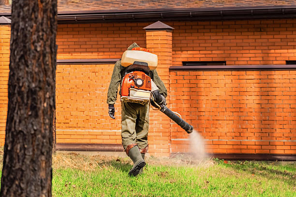 Top rated local Termite Control specialists in Bridgeport, IL